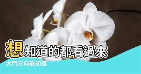 大門方向風水|大門入口風水全攻略：6個配置技巧，打造好運連連的家庭氣場